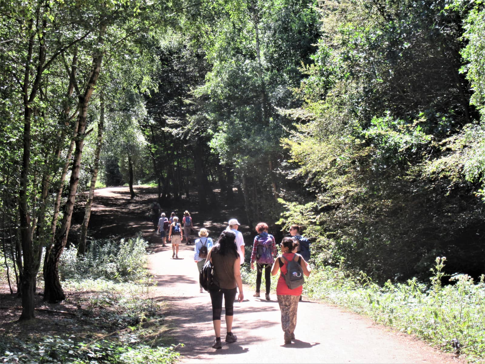 Pulborough River & Woodland Circular