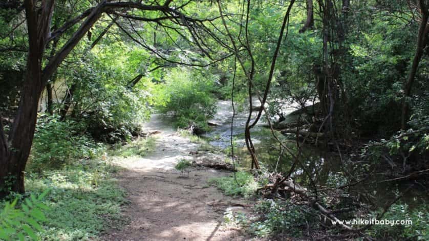 Bouldin Creek healthy dinner walk