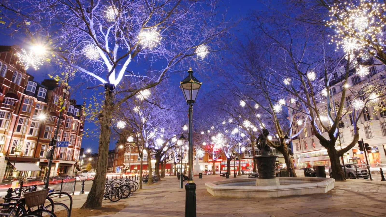 The Magical Christmas Lights Walk and the Hidden Christmas Gem Lights!