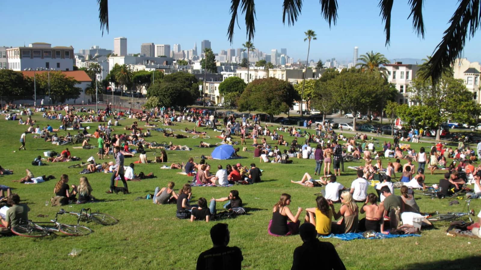 DVD Swap at Dolores Park