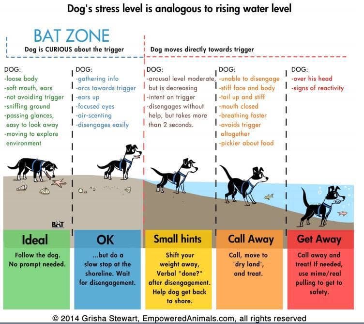 Austin Dog Zone- Reactive Dog Walking Meetup