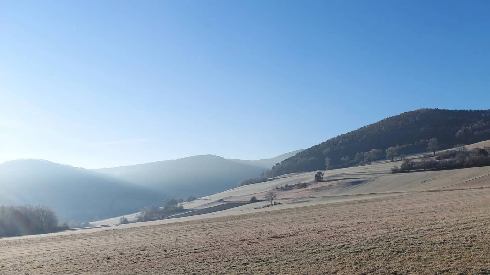 Puchberg to Kaiserebenwiese: Autumn Trails & Views
