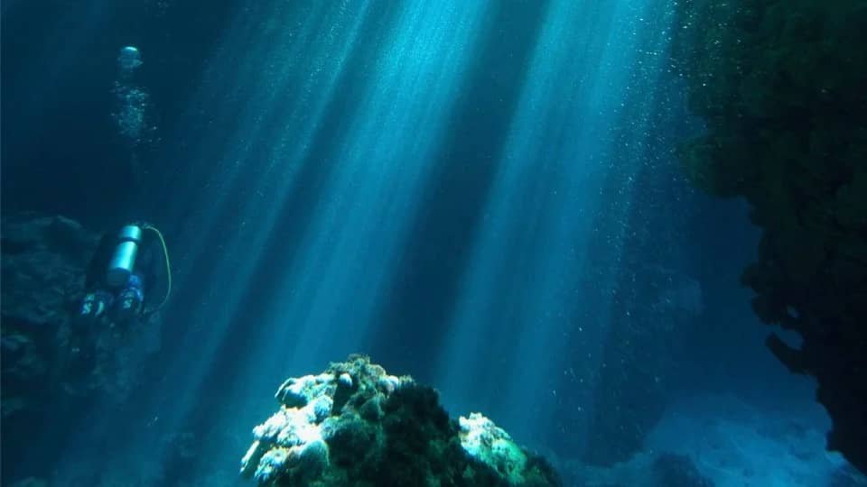 October Meetup-Bilikiki: Diving in the Wild!