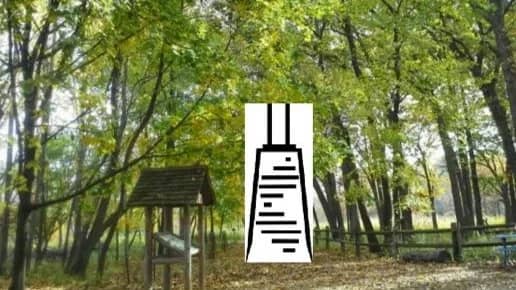 Fungi Exploration w/Chicago Mushroom Club @ the North Park Village Nature Center