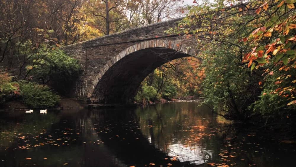 Wissahickon Valley Park autumn hike