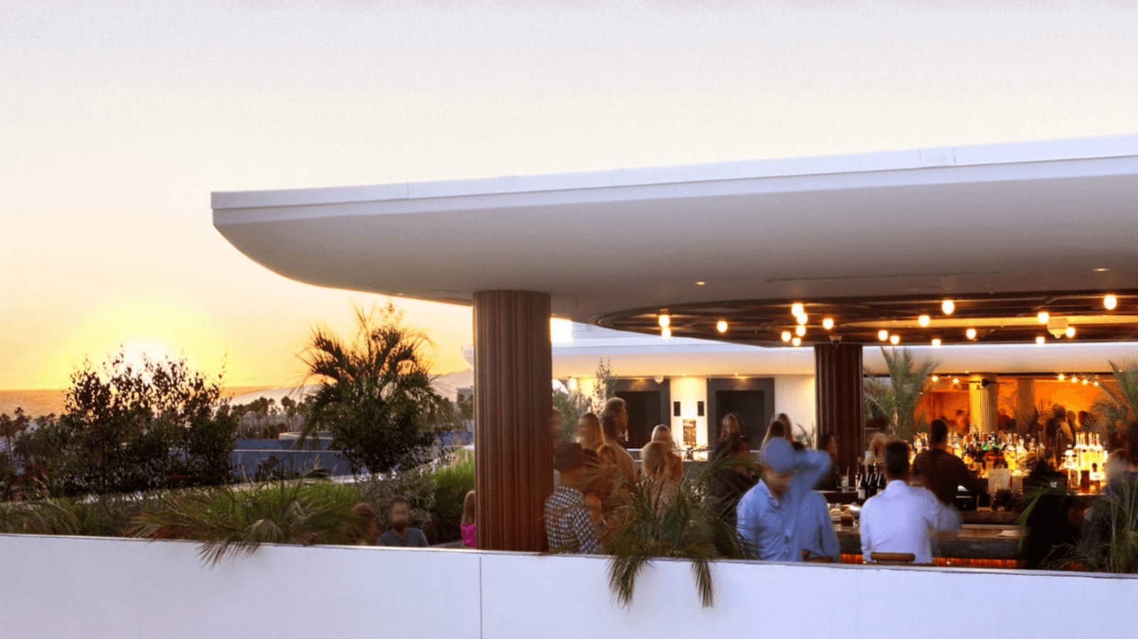 ✨ Calabra Rooftop Social at Proper Hotel ✨ // Santa Monica 🍷