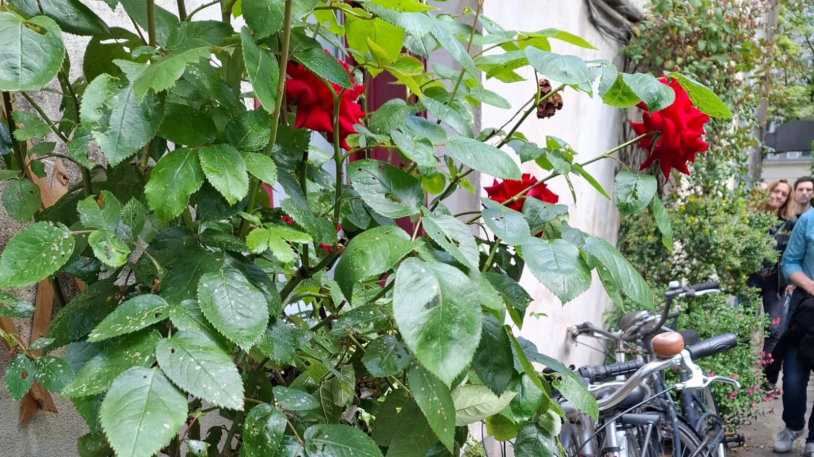 Promenade : le 11eme arrondissement et ses lieux insolites