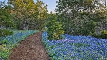 St. Edward’s Greenbelt