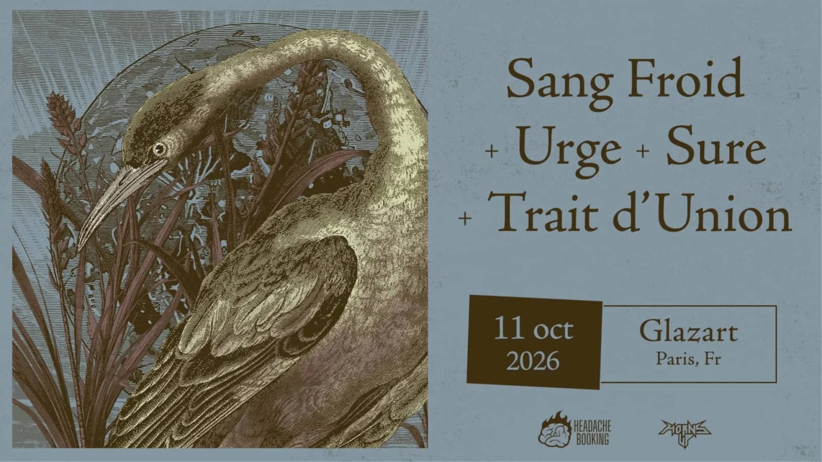Concert: SANG FROID + URGE + SURE + TRAIT D’UNION