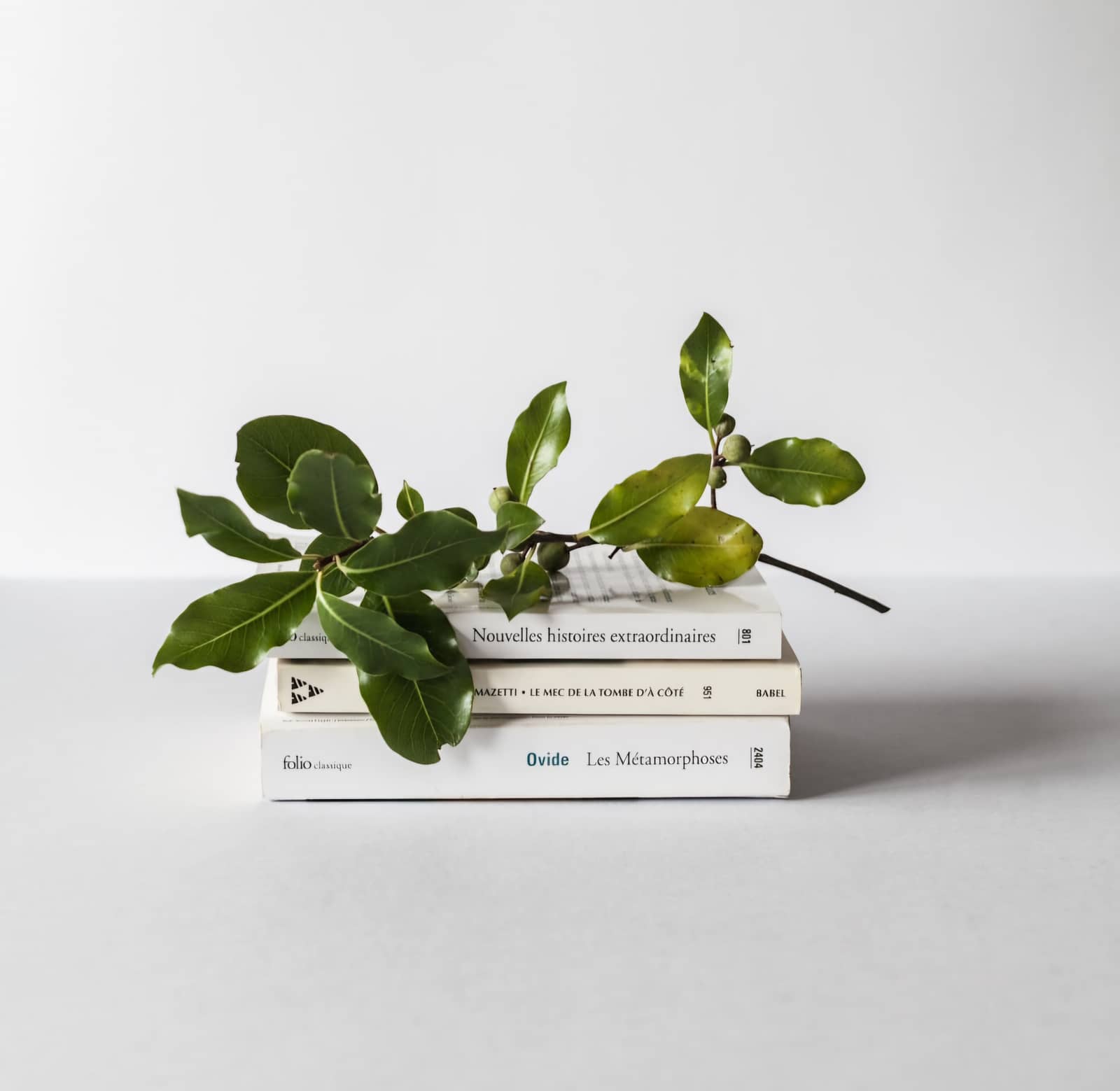 Book Swap Social Event - Make New Friends Who Love Books