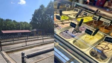 LDVSG Bocce In The Park and Pizza/Gelato - 14 spots