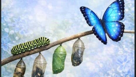 Conscious Living ~ An Experiential Community Program for Embodied Consciousness