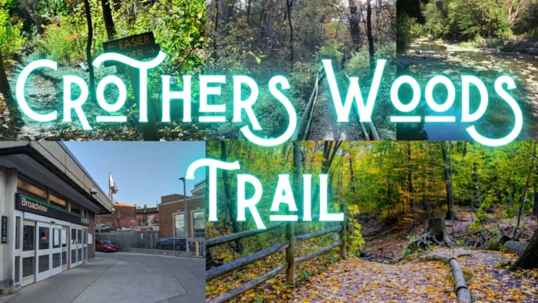 🍂 Crothers Woods Fall Hike & Ice Cream Treat! 🍦
