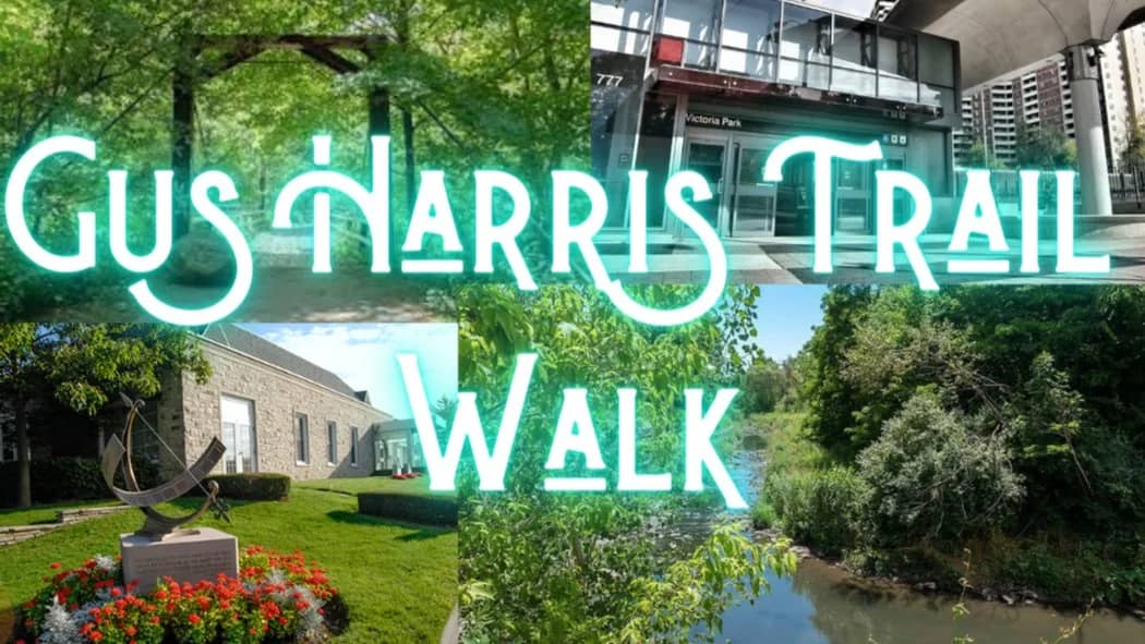 ππ³ Fall Walk: Gus Harris Trail π³π