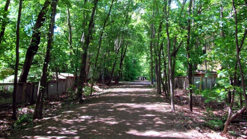 πΏπΆββοΈ YORK BELTLINE TRAIL EVENING WALK & PUB NIGHT π»πΏ