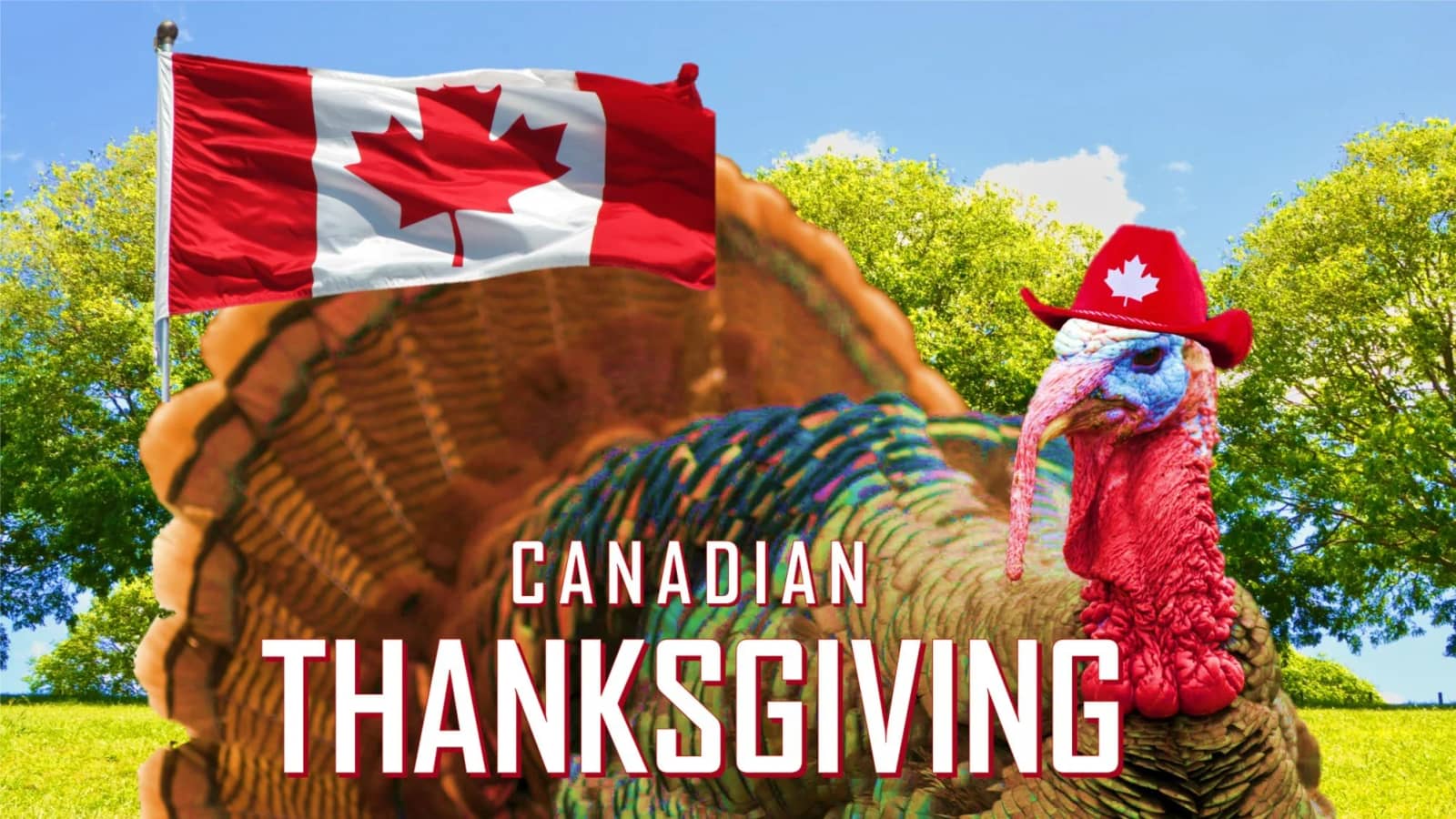 Canadian Thanksgiving Picnic by the Opera House
