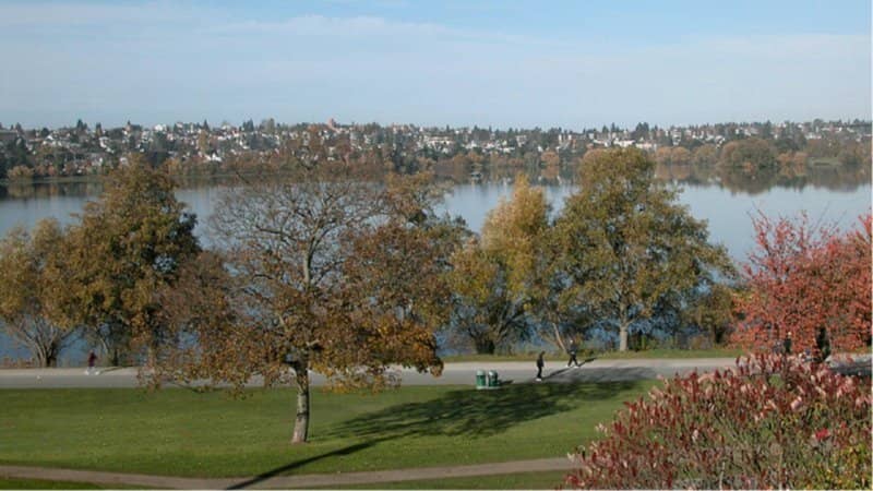 Seattle Poetry Meetup @ Green Lake Park
