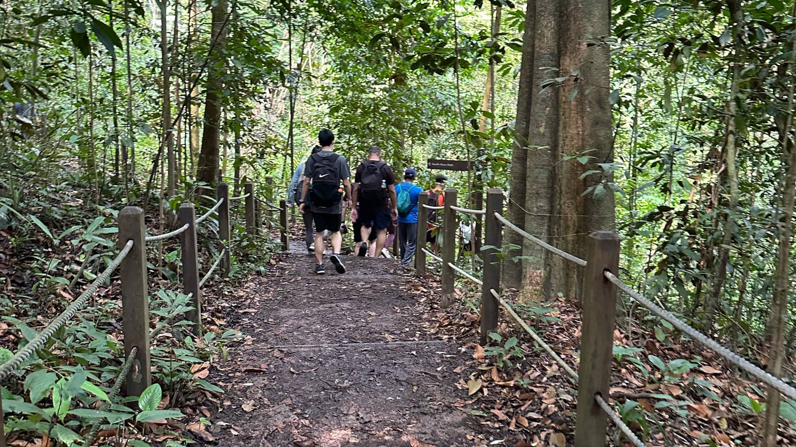 Celebrate Early: Pre-National Day Sunday afternoon Walk!