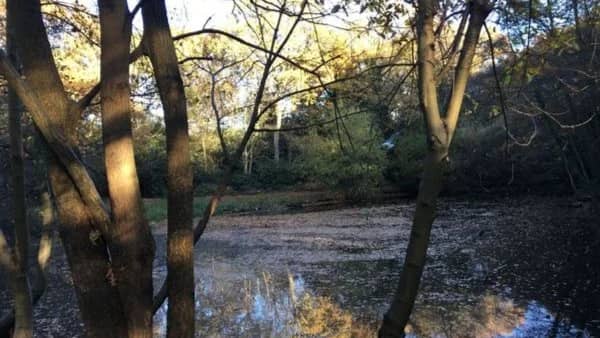 Green Walk £5 - Morden to Wallington