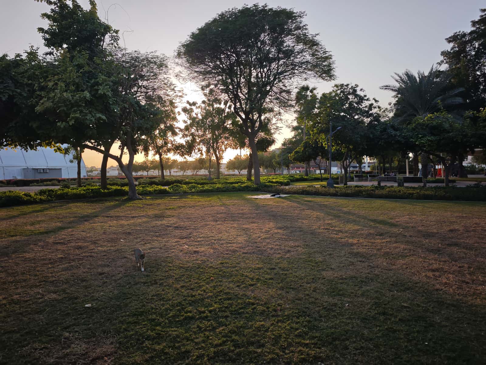 Yoga and sound healing in the park