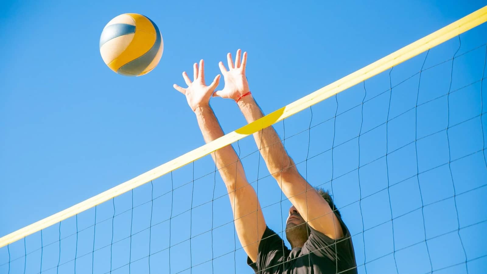 Volleyball. Sydney Park. ALL Levels. MUST RSVP. Beginners Welcome