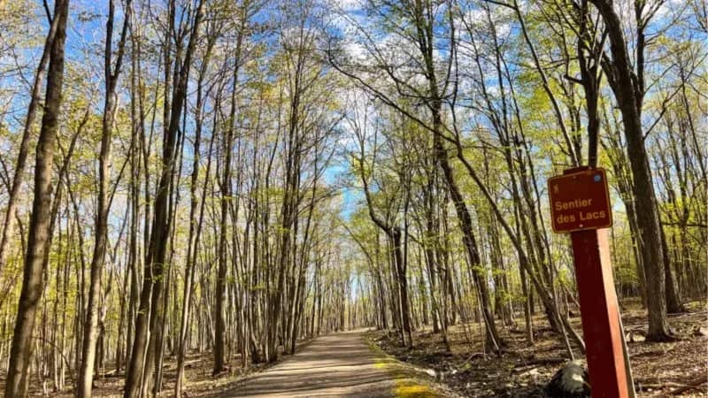 Hiking Mt Saint-Bruno