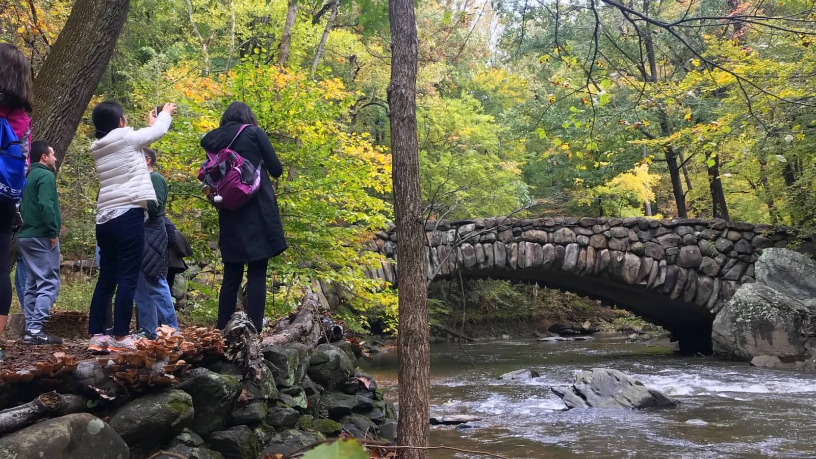 Boulder Bridge Foliage (Rating: C)