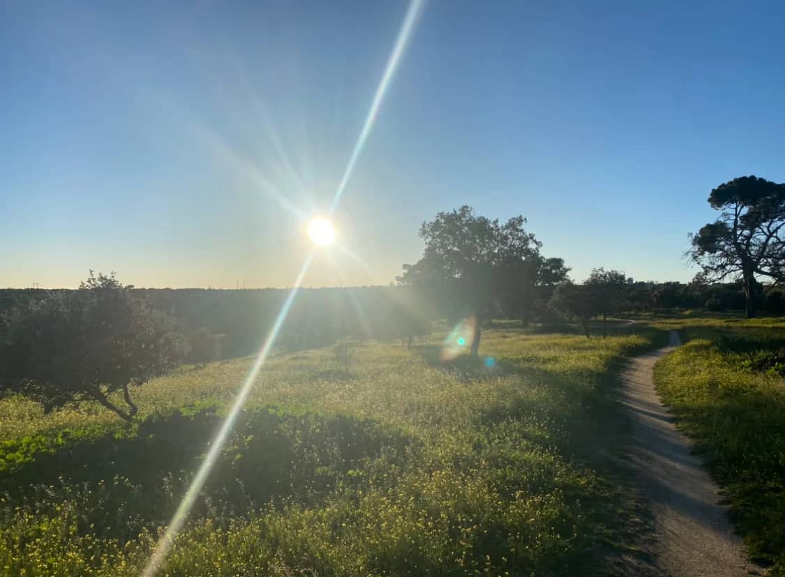 🧘♀️ Mindfulness & naturaleza. ☀️mindfulness & Nature walk