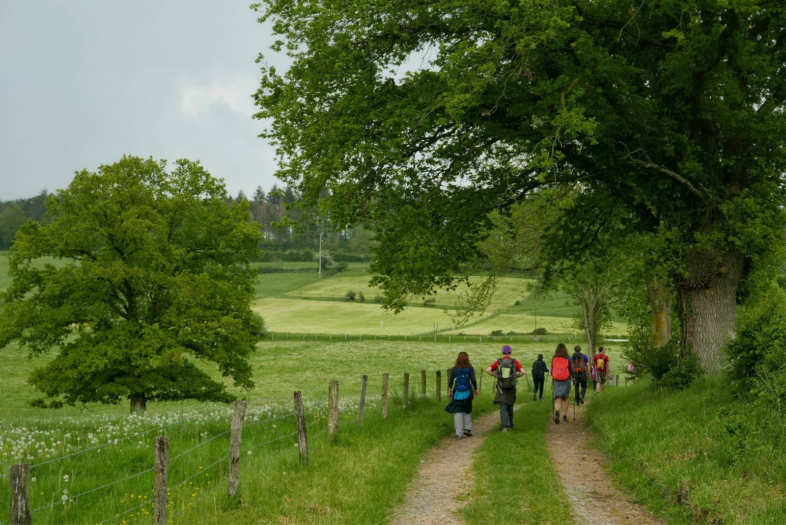 Hike Courriere - Andenne 25km, 600m elevation difference