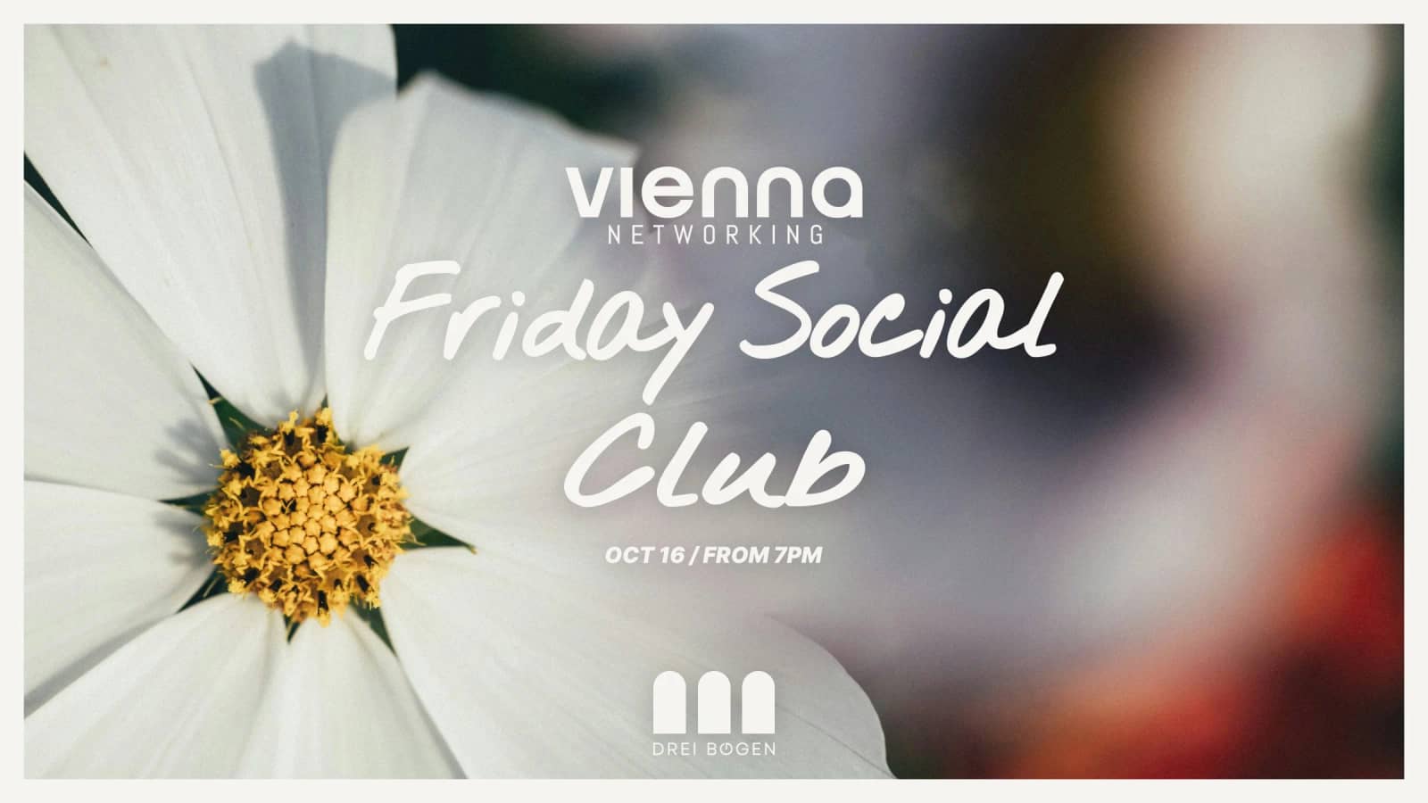 Friday Social Club at Drei Bögen