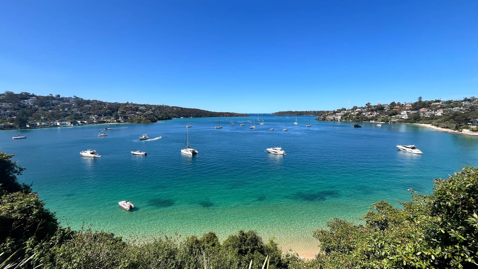 20km Taronga Zoo to Manly Be active, healthy & happy!😎