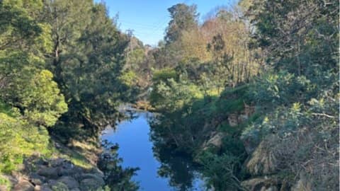 Sunday Walk - Ashburton – Gardiners Creek Trail