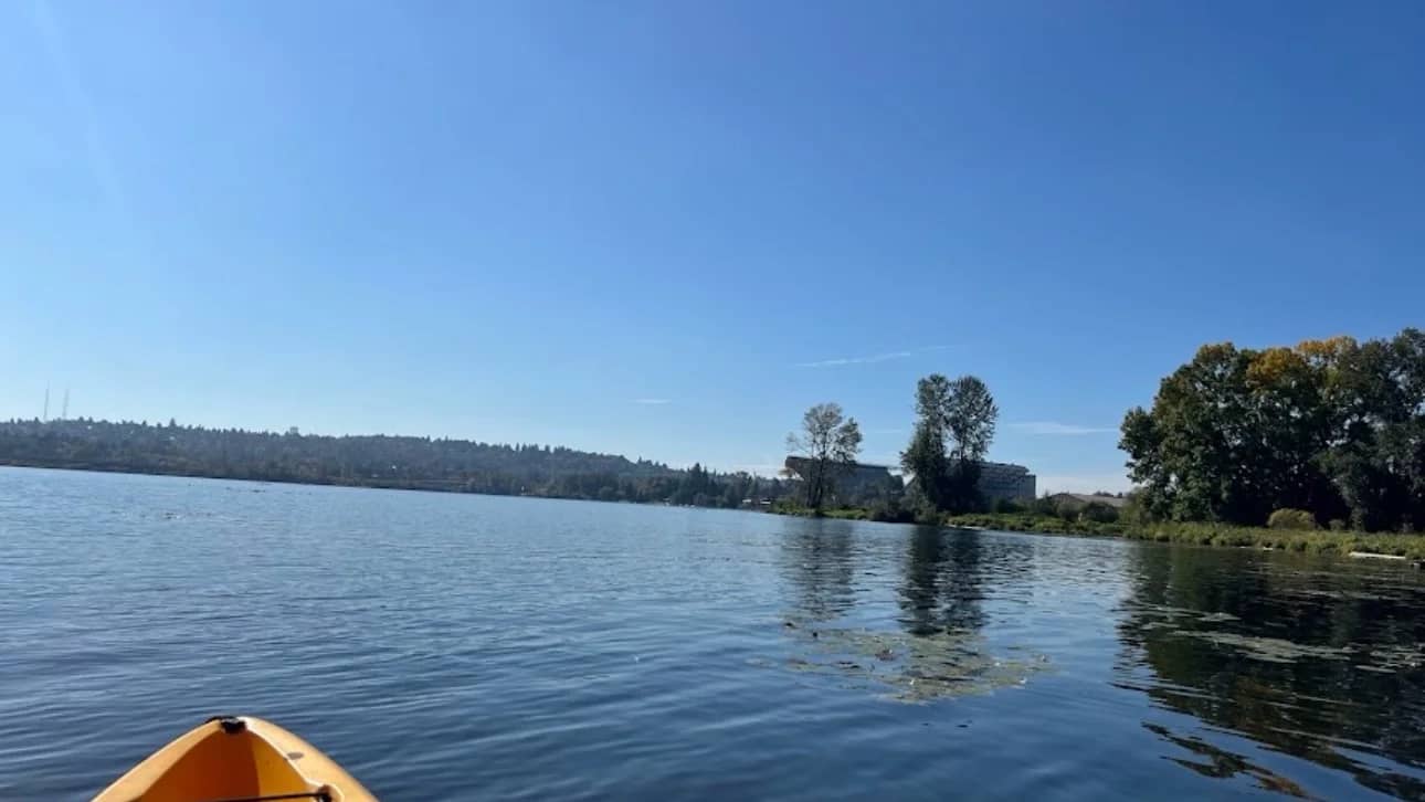 🌿😎Relaxing Paddle from UW Waterfront Activities Center