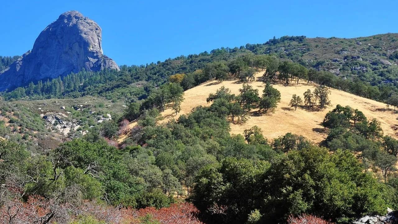 FRIDAY MORNING HIKES - NATOMA TRAILHEAD