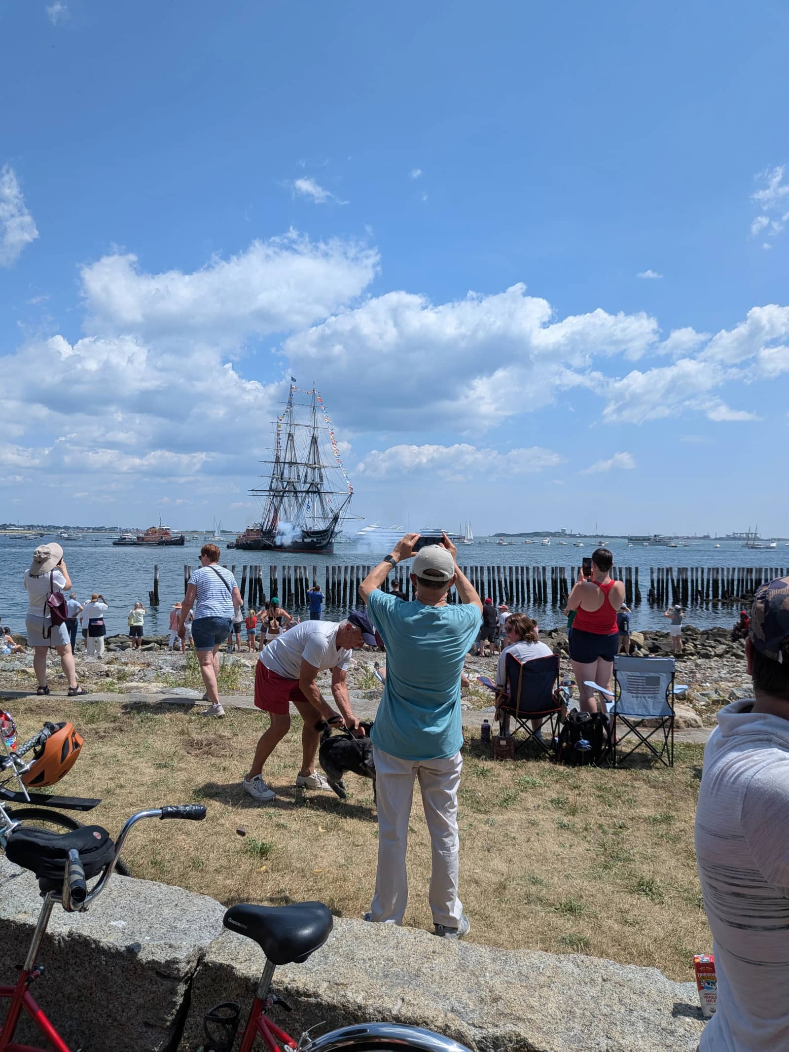 Bike ride to see the Great Elephant Migration in Boston