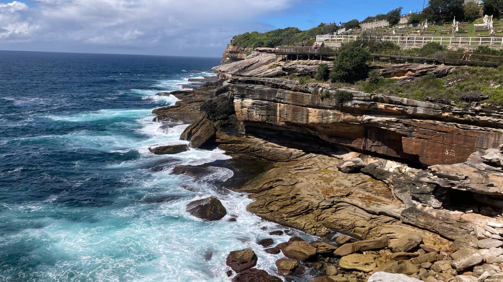 🌸CQ🌸WATSONS BAY🌸BONDI BEACH🌸COOGEE BEACH🌸