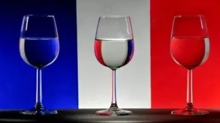 French Movie: Partir un Jour (Opening Night)