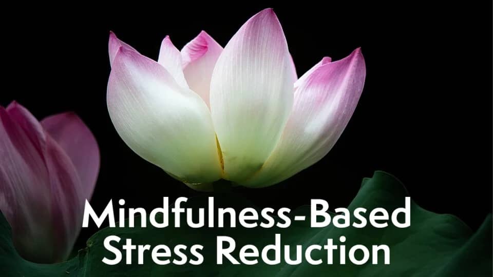 Mindfulness-Based Stress Reduction (free 8 wk course)