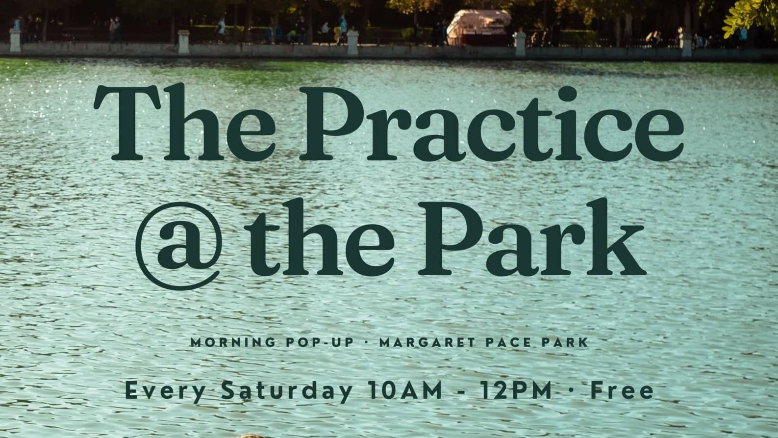 The Practice | @ the Park