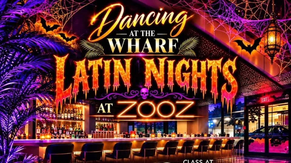 Latin Nights At ZOOZ - HALLOWEEN