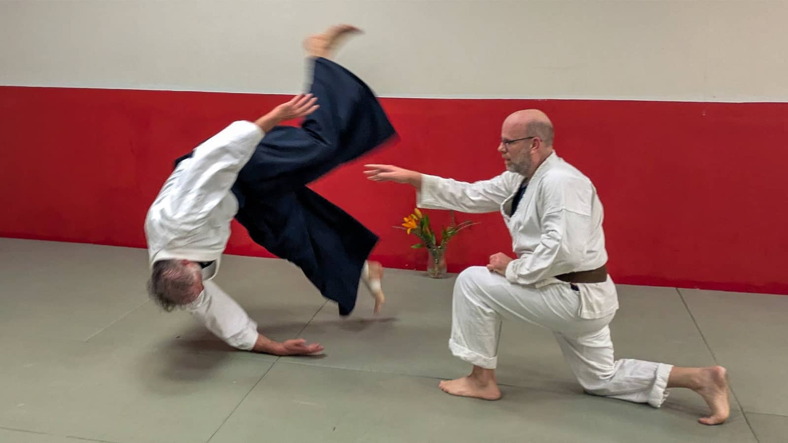 Aikido Class