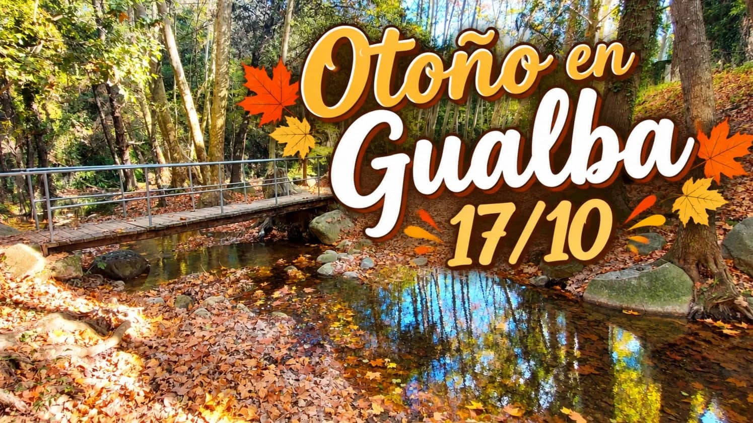 Gualba. Otoño en el Montseny. Tren. 14€. Fácil 14km 280m. Hiking en la montaña.