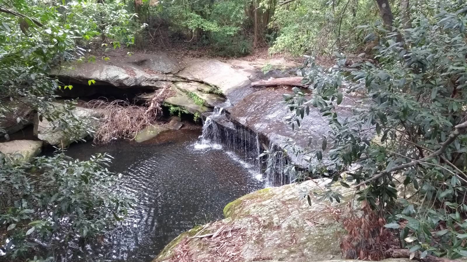 Turramurra to Epping