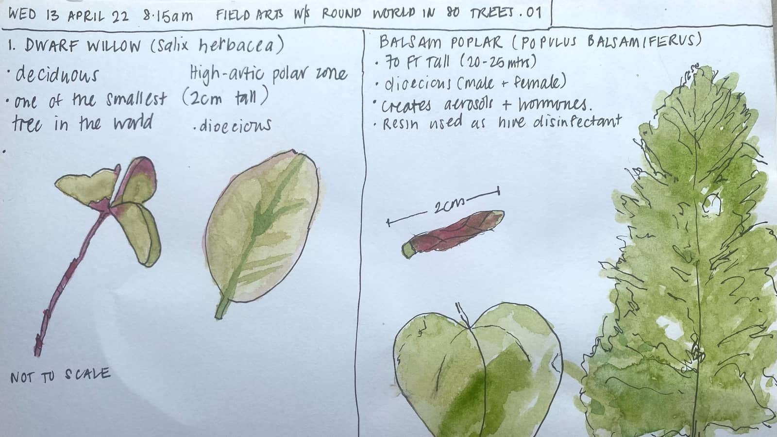 August Meetup for the Sydney Nature Journal Club