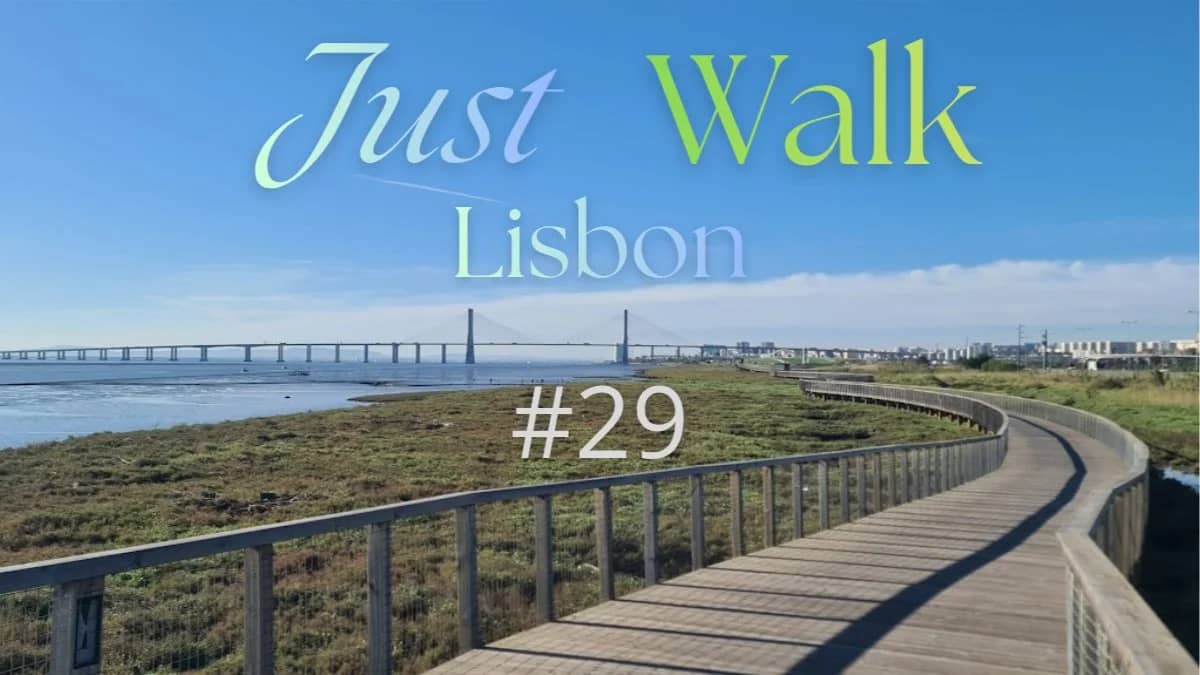 Just Walk #29