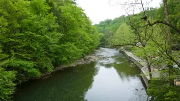 Wissahickon Whole Park, 20+ miles
