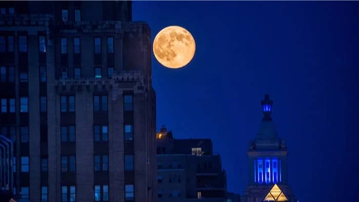 Queer Full Moon Walk of The High Line