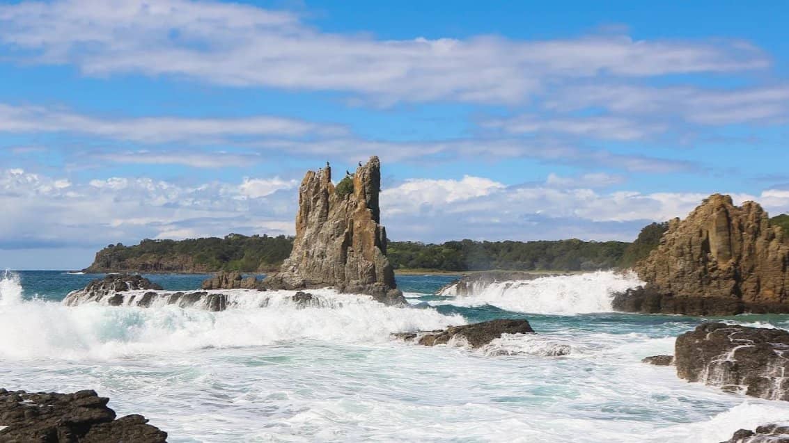 Minnamurra to Kiama Coastal Trek, Whale-Watch🐋🐳👀, Blow Hole & more 🌊