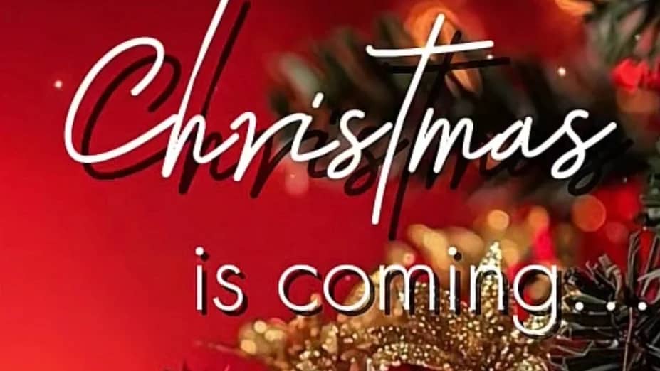 CHRISTMAS DINNER & DANCING - Anna & Lucio's Trattoria - 25 spots