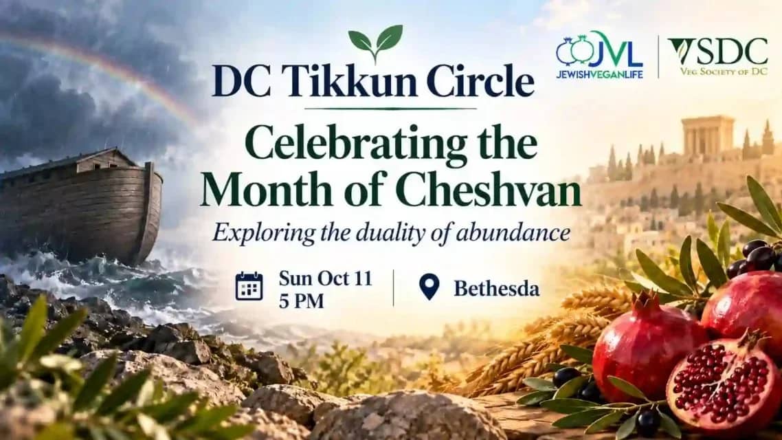 VSDC Joins Jewish Vegan Life for Dinner